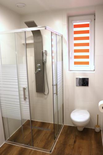 a bathroom with a shower and a toilet at Apartamenty Zator Energy Rest in Zator