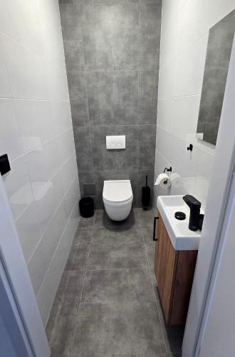 a bathroom with a toilet and a sink at Zebrzydowicka 37 in Rybnik