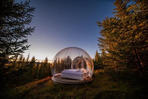 a glass dome with a bed in a field at Buubble Hotel - Ölvisholt in Selfoss