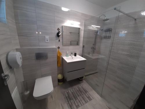 バラトンレッレにあるAncsi Apartmanházのバスルーム(トイレ、洗面台、シャワー付)
