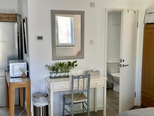 La salle de bains est pourvue d'un bureau avec un miroir et de toilettes. dans l'établissement Alderbury Studio, à Salisbury