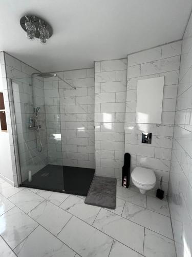 une salle de bain avec douche et toilettes dans l'établissement Bel appartement, à Toulon