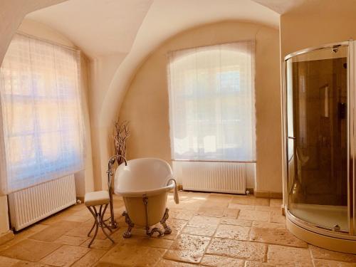 e bagno con vasca e doccia. di Schloss Mühldorf a Mühldorf
