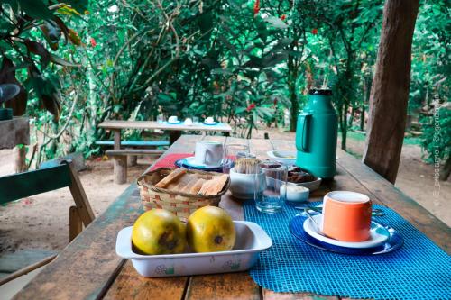 a picnic table with a basket of fruit on it at Pousada Roy Bonete in Ilhabela