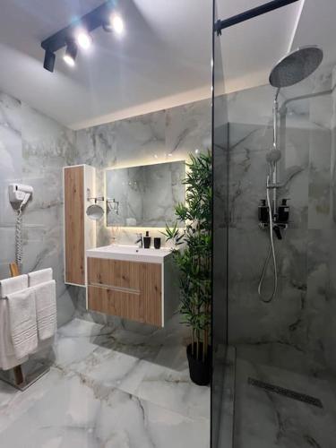 a bathroom with a shower and a sink and a shower at Lagoon Studio 705 in Bucharest