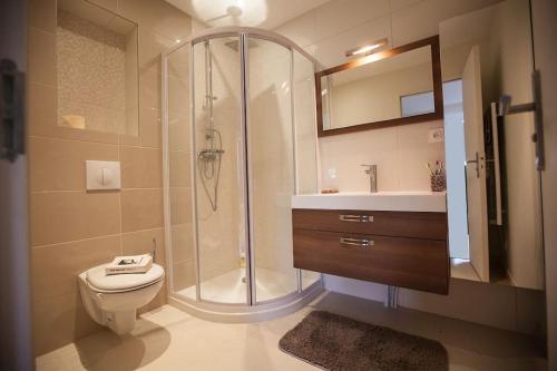 une salle de bain avec une douche, des toilettes et un lavabo dans l'établissement MAISON 4 CHAMBRES,JARDIN ET TERRASSE, proche mer,casino et place Morny, à Deauville