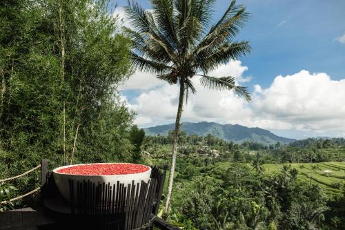 a palm tree and a large tub with red gravel at Camaya Bali - Magical Bamboo Houses in Selat