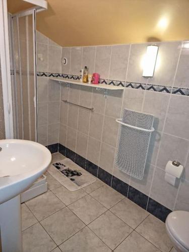 une salle de bain avec une douche, un lavabo et des toilettes dans l'établissement Maison d'hôtes à la campagne, à Labastide-dʼArmagnac