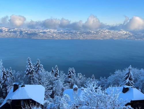 Ảnh trong thư viện ảnh của La Barque ở Thollon