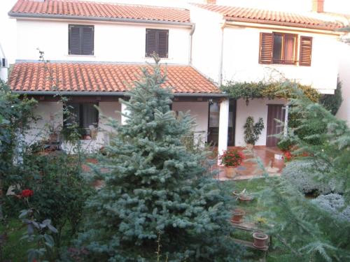 ein Weihnachtsbaum im Hof eines Hauses in der Unterkunft Angenehme Ferienwohnung mit Balkon, umgeben von einem Garten in Banjole