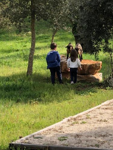 Khách lưu trú tại Casas da Ladeia - Villa 2