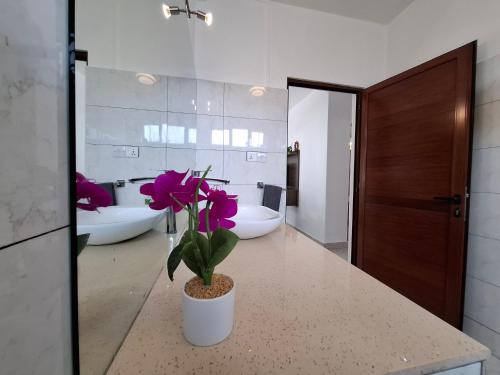 a bathroom with three sinks and a potted plant on a counter at Oceanview Kite Garden Rooftop Appartment in Rivière Noire
