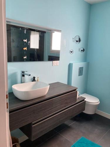 une salle de bain avec un lavabo et des toilettes dans l'établissement Pessac Pape Clément, maison avec piscine., à Pessac