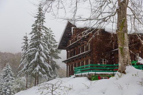 a building in the snow next to a tree at Kunst- und Naturfreundehaus Brünig in Lungern