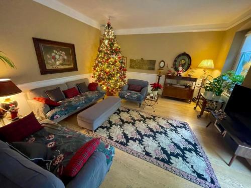 ein Wohnzimmer mit einem Weihnachtsbaum und einer blauen Couch in der Unterkunft Sobborgo 12 in Sarzana