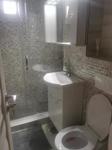 a bathroom with a toilet and a sink and a shower at Sidus in Satu Mare