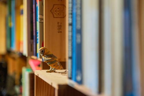 a small bird sitting on a shelf in a library at Kunst- und Naturfreundehaus Brünig in Lungern