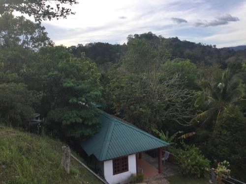 una pequeña casa con techo verde en un bosque en D view hill hotel, en Kuala Tahan