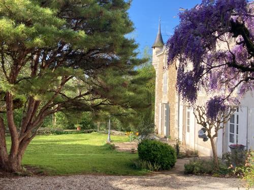 Κήπος έξω από το Mazette! Le Château