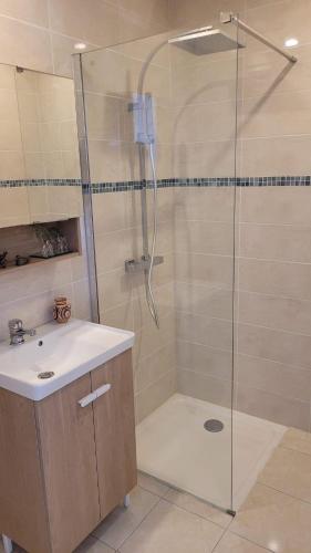 La salle de bains est pourvue d'une douche avec un lavabo et une porte de douche en verre. dans l'établissement La Maison de Gaëtan, à LʼIsle-en-Dodon