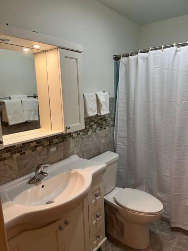 a bathroom with a sink and a toilet and a mirror at Prime Location Amazing Unit Close to Downtown - 2 queen beds in Springfield