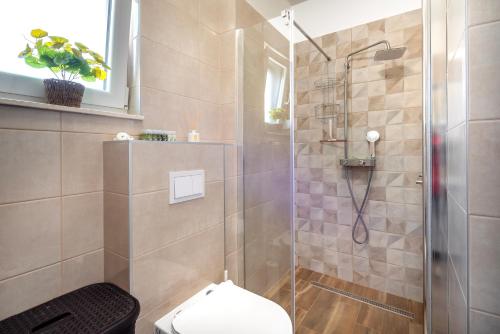 een badkamer met douche en toilet bij First Choice Apartment Rogoznica in Rogoznica