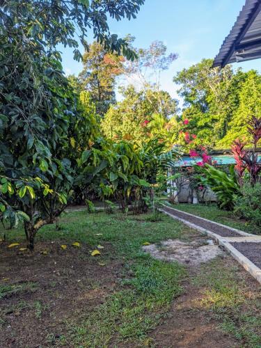 a garden with trees and plants in a yard at Ana Paraíso entre Arboles in Drake