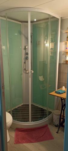 La salle de bains est pourvue d'une douche en verre et de toilettes. dans l'établissement Le nid du Colibri, à Uzerche