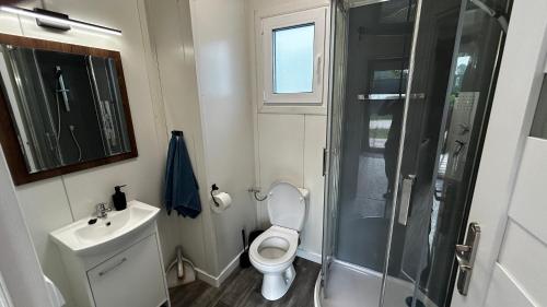 uma casa de banho com um chuveiro, um WC e um lavatório. em Apartmány Štramberk em Štramberk