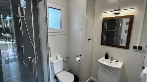 ein Bad mit einem WC, einem Waschbecken und einer Dusche in der Unterkunft Apartmány Štramberk in Štramberk