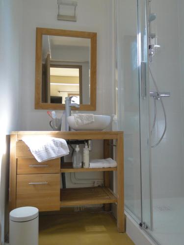 a bathroom with a sink and a shower with a mirror at Domaine du Lac in Soursac