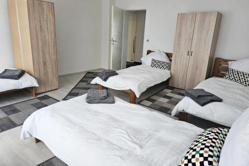 Billede fra billedgalleriet på City Apartment in Worms with Balcony i Worms