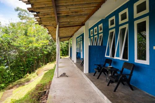 a cat sitting on the porch of a blue house at Manulalu B&B in Bajawa