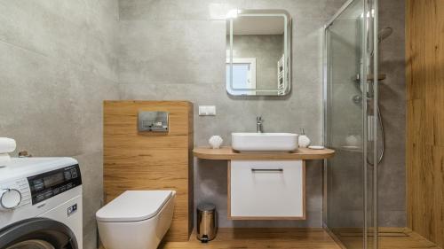 a bathroom with a sink and a toilet at Apartamenty Sun & Snow Resort Jantar in Jantar