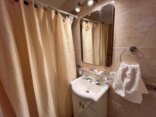 a bathroom with a sink and a shower curtain at Bahía Golondrina 2 in Ushuaia