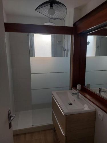 une salle de bain avec un lavabo et une douche avec un miroir dans l'établissement Appartement de charme au coeur de Perpignan, à Perpignan