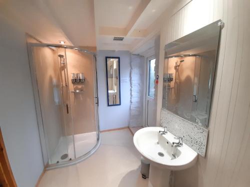 ein weißes Badezimmer mit Dusche und Waschbecken in der Unterkunft Horseshoe Cottage Aberaeron in Ciliau-Aeron
