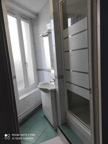 ein Bad mit einer Dusche und einem Waschbecken in der Unterkunft Superbe F3 dans résidence calme, in Nancy