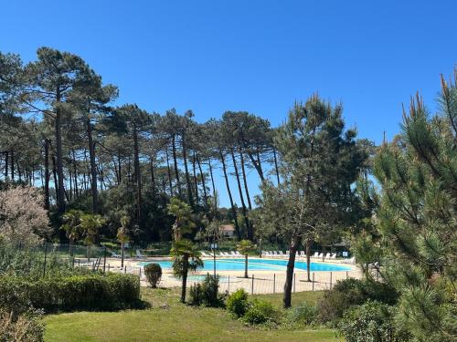 - une piscine dans un parc arboré dans l'établissement chalet T4 ondres piscine et tennis, à Ondres