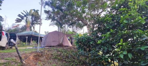 a pink tent in a yard with trees at DPuncakLui Campsite in Hulu Langat