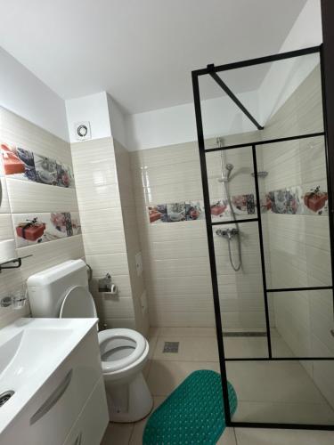 uma casa de banho com um chuveiro, um WC e um lavatório. em FAST Airport Accomodation em Otopeni