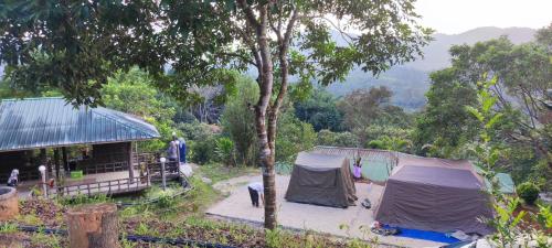 a group of tents sitting next to a tree at DPuncakLui Campsite in Hulu Langat
