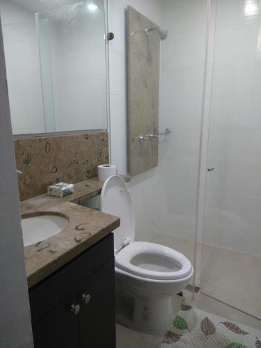 La salle de bains est pourvue de toilettes, d'un lavabo et d'une douche. dans l'établissement Lujoso Penthouse, à Buenaventura