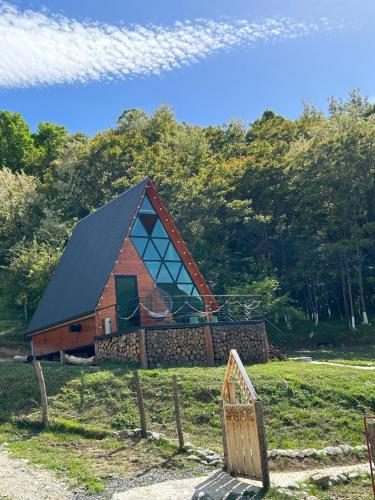 a house with a black roof on top of a field at Ramona in Ambrolauri