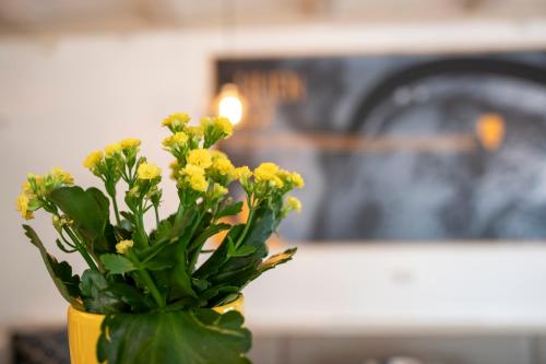 Fotografie z fotogalerie ubytování Salzburg Hotel Lilienhof v Salcburku