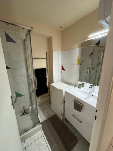 a bathroom with a shower and a sink and a mirror at Appartement au centre-ville avec cour in Langres