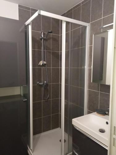une salle de bain avec douche et lavabo dans l'établissement Appartement 27 m2 et parking, à Rennes
