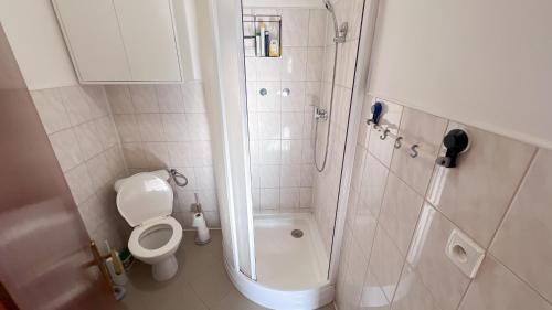 ein kleines Bad mit einem WC und einer Dusche in der Unterkunft Domeček u Brna, klid & wi-fi in Bílovice nad Svitavou