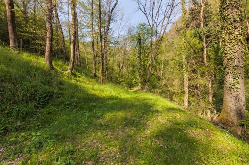 a grassy hill in a wooded area with trees at Antico Mulino Baderem in Sorisole