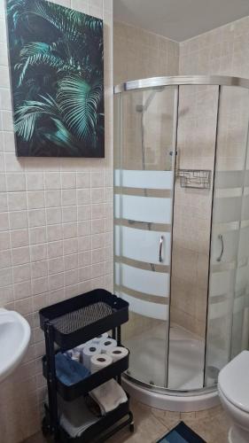 a bathroom with a shower and a toilet and a painting at Le Casa del Sol de Marta in Manilva